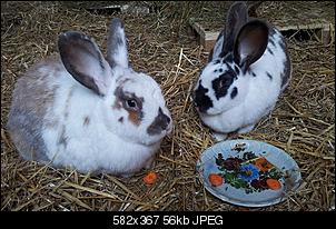 verliebt in deutsche Riesen-bobby-lina-beim-essen.jpg