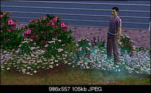 Sims 3-screenshot-42.jpg