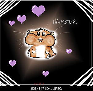 Meine Bilder-kopie-von-hamster.jpg