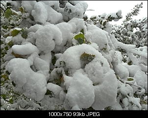 Schnee, was das Zeug h�lt-levico-schleich-winter-142.jpg