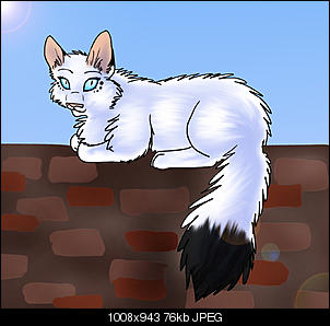 Meine Bilder-katze.jpg