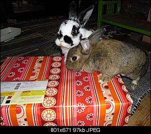 Weihnachtswichteln-sam_2220b.jpg