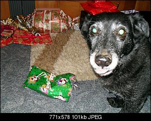 Weihnachtswichteln-sdc12994.jpg