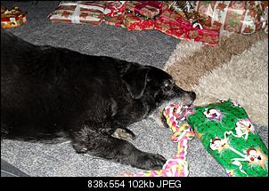 Weihnachtswichteln-sdc12998.jpg