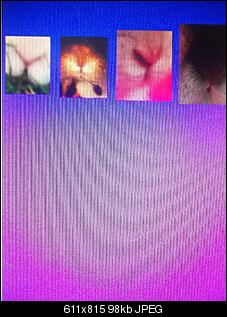 Ich mache eure bilder zu Grafik!!!!!!!!-sam_2913.jpg
