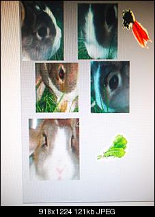 Ich mache eure bilder zu Grafik!!!!!!!!-sam_2915.jpg