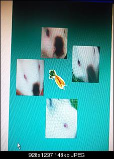 Ich mache eure bilder zu Grafik!!!!!!!!-sam_2920.jpg