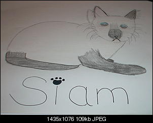 Hobby Malen Zeichnen,wer macht das hier noch?-sam_3073.jpg