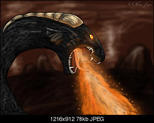 Meine Bilder-dragon.jpg