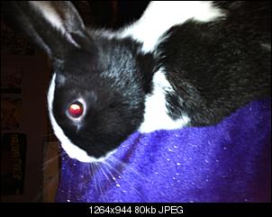 Ich bearbeite eure Bilder-img_0495%5B1%5D.jpg