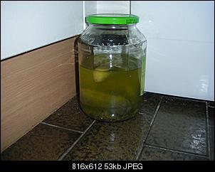 Best of M.L.J.S Kaninchenstories-gurke.jpg