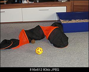 Best of M.L.J.S Kaninchenstories-wo.jpg