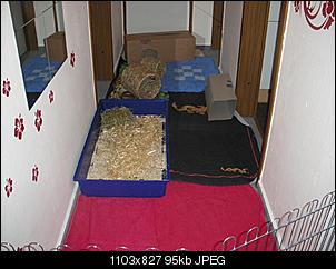 Best of M.L.J.S Kaninchenstories-1111.jpg