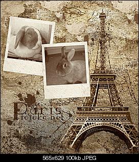 Best of M.L.J.S Kaninchenstories-11-de-e3f30fa2e9ccd5c1c982560ee8b8bd2a.jpg