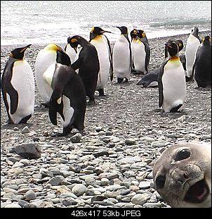 Best of M.L.J.S Kaninchenstories-robbe.jpg