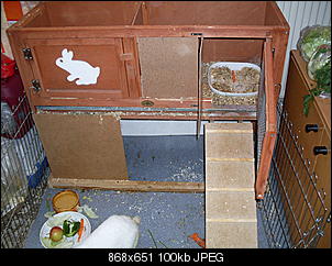 Best of M.L.J.S Kaninchenstories-sdc10548.jpg