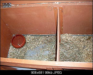 Best of M.L.J.S Kaninchenstories-sdc10550.jpg