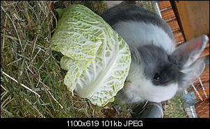 Eine Zeitschrift f�r unser Forum-sam_3356.jpg