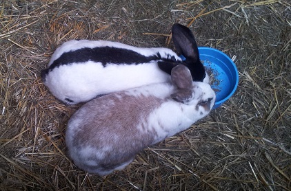 Name:  Bobby-Klaus und Gabi.jpg
Hits: 238
Gr��e:  93,2 KB