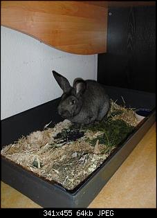 verliebt in deutsche Riesen-bild2549kl.jpg