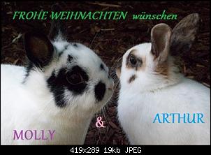 Frohe Weihnachten-100_6310.jpg