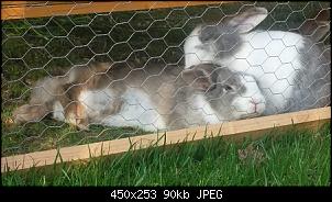Sammelthread f�r Bilder(Eine Zeitschrift f�r unser Forum)-sam_4463.jpg