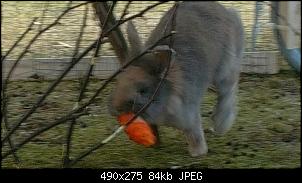 Sammelthread f�r Bilder(Eine Zeitschrift f�r unser Forum)-sam_4108.jpg