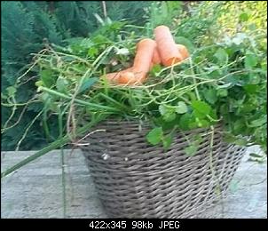 Sammelthread f�r Bilder(Eine Zeitschrift f�r unser Forum)-sam_5217.jpg
