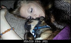 Der Hunde Thread-0051.jpg