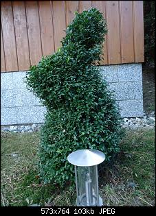 Der Garten- und Anbauthread-buchs1.jpg
