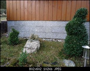 Der Garten- und Anbauthread-buchs3.jpg