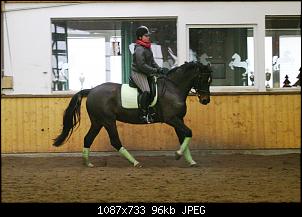 Pferde und Reiter-Thread-img_0850.jpg