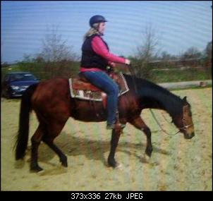 Pferde und Reiter-Thread-img_6630.jpg