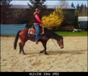 Pferde und Reiter-Thread-img_6643.jpg