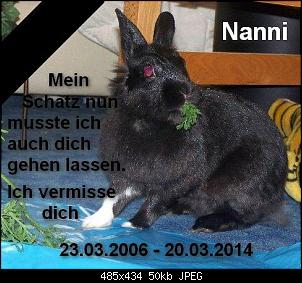 Die Regenbogenbr�cke-nanni2.jpg