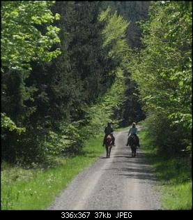 Pferde und Reiter-Thread-img_6760.jpg