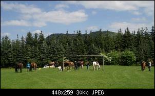 Pferde und Reiter-Thread-img_6769.jpg