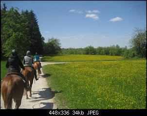 Pferde und Reiter-Thread-img_6771.jpg
