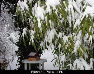 Der Garten- und Anbauthread-schnee-ofen-n%E4hen-018-small-.jpg