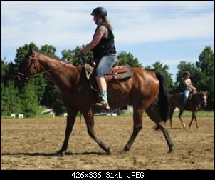 Pferde und Reiter-Thread-img_7029.jpg