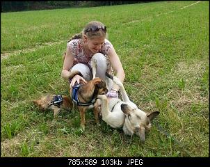 Der Hunde Thread-276_n.jpg