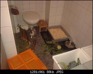 Quasselthread-img-20140718-wa0014.jpg