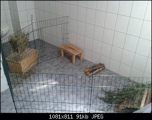 Quasselthread-img-20140719-wa0000.jpg