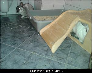Quasselthread-1405775940204.jpg