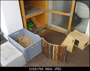 Quasselthread-1406634996524.jpg