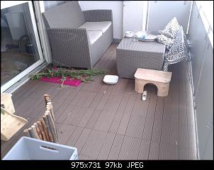 Quasselthread-1406635013861.jpg