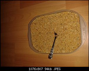Quasselthread-1407525884753.jpg