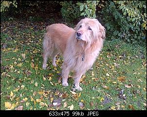 Sorgenfalten-sonthofen-20141014-00380.jpg