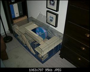 Kaninchen oder Rennm�use?-dsci0027.jpg