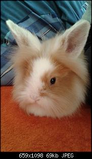 Quasselthread-user5530_pic17642_1416927205.jpg